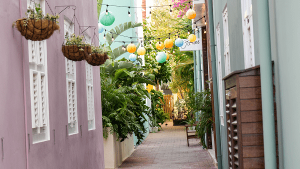 Colourful alleyway in Pietermaai District with hanging plants and pastel buildings in Curaçao