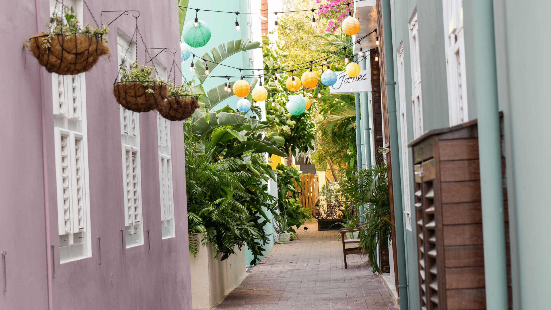 Colourful alleyway in Pietermaai District with hanging plants and pastel buildings in Curaçao