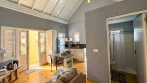 Spacious family-friendly apartment Aqua with high ceilings and natural light – Dushi Pietermaai Apartments