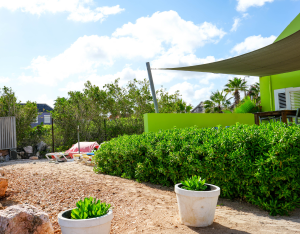Garden path leading to the sea beside Aqua apartment – Curaçao